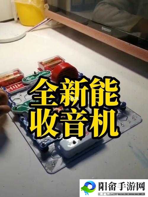 高频收音机制作宝典：华夏人生专业指南