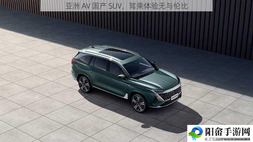 亚洲 AV 国产 SUV，驾乘体验无与伦比