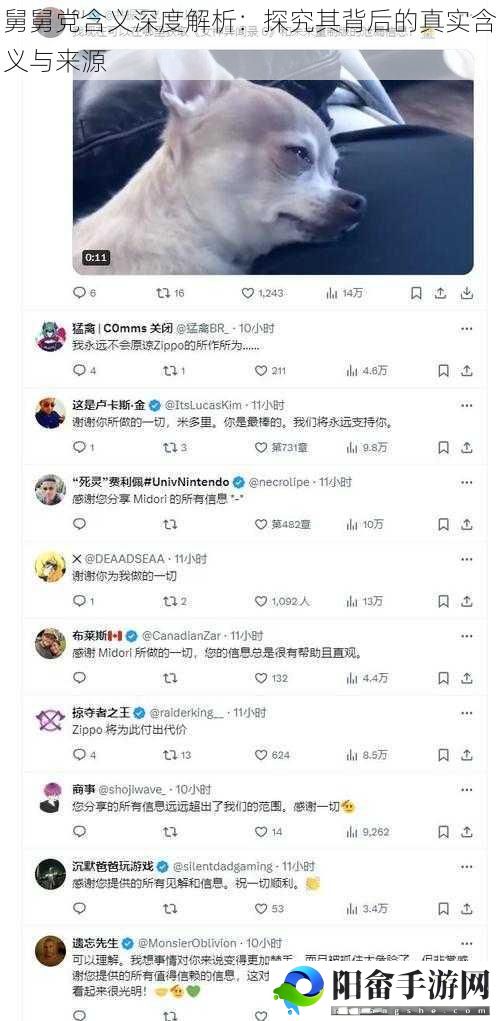 舅舅党含义深度解析：探究其背后的真实含义与来源