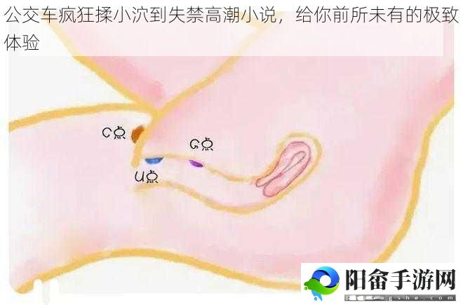 公交车疯狂揉小泬到失禁高潮小说，给你前所未有的极致体验