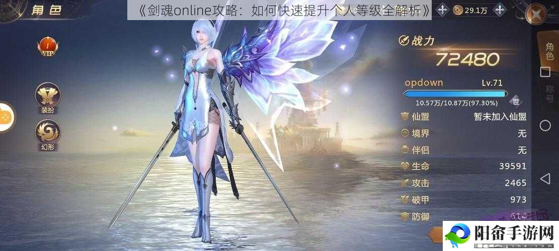 《剑魂online攻略：如何快速提升个人等级全解析》