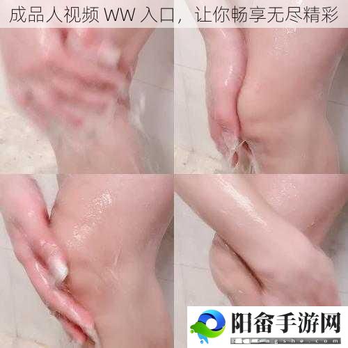 成品人视频 WW 入口，让你畅享无尽精彩