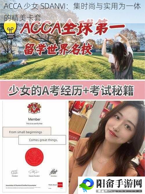 ACCA 少女 SDANVI：集时尚与实用为一体的精美卡套