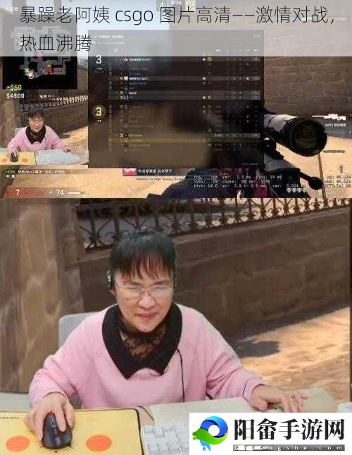 暴躁老阿姨 csgo 图片高清——激情对战，热血沸腾