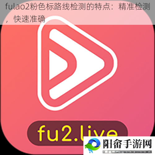 fulao2粉色标路线检测的特点：精准检测，快速准确