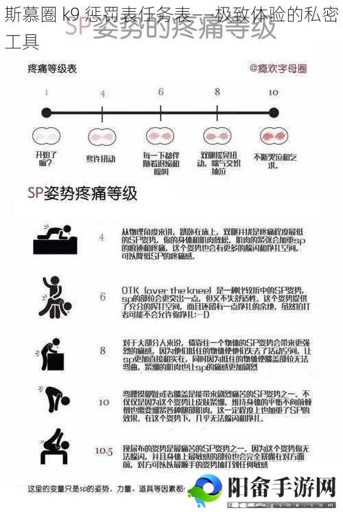 斯慕圈 k9 惩罚表任务表——极致体验的私密工具