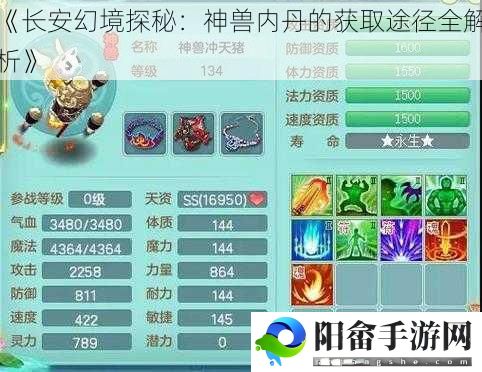 《长安幻境探秘：神兽内丹的获取途径全解析》