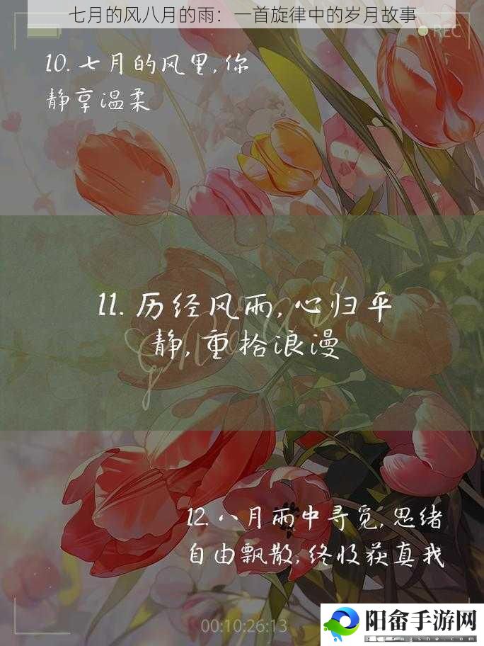 七月的风八月的雨：一首旋律中的岁月故事