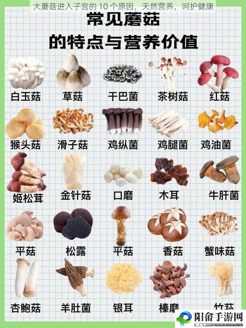 大蘑菇进入**的 10 个原因，天然营养，呵护健康