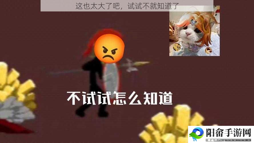 这也太大了吧，试试不就知道了