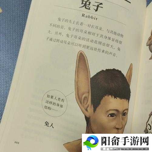 人与兽：跨越物种的交互之谜