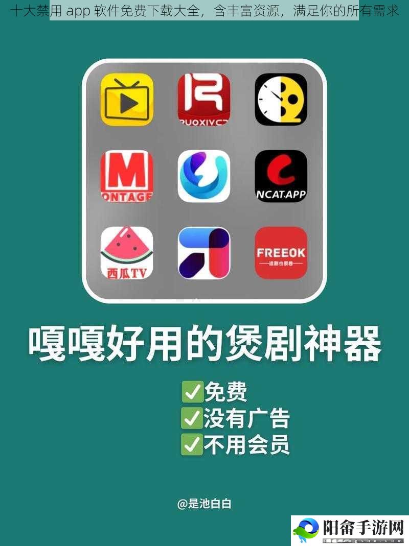 十大禁用 app 软件免费下载大全，含丰富资源，满足你的所有需求