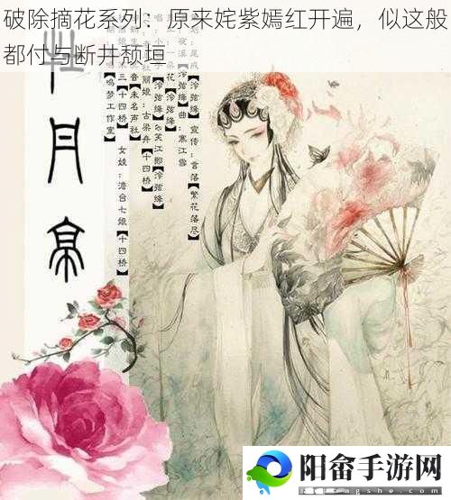 破除摘花系列：原来姹紫嫣红开遍，似这般都付与断井颓垣