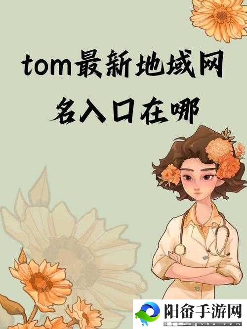 tom地域网名入口在线：便捷访问通道