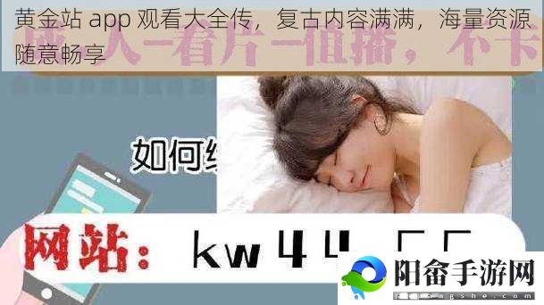 黄金站 app 观看大全传，复古内容满满，海量资源随意畅享