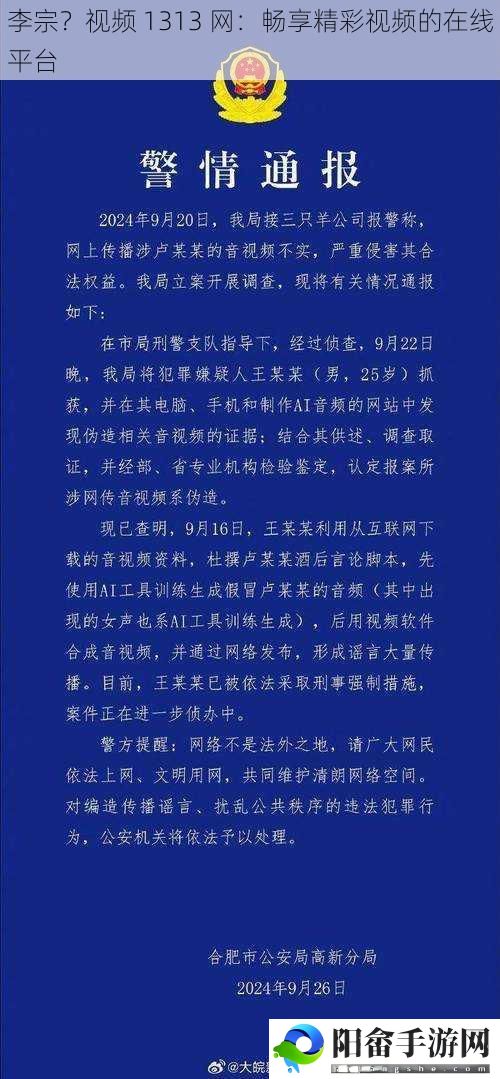 李宗？视频 1313 网：畅享精彩视频的在线平台