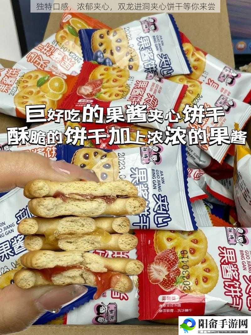 独特口感，浓郁夹心，双龙进洞夹心饼干等你来尝