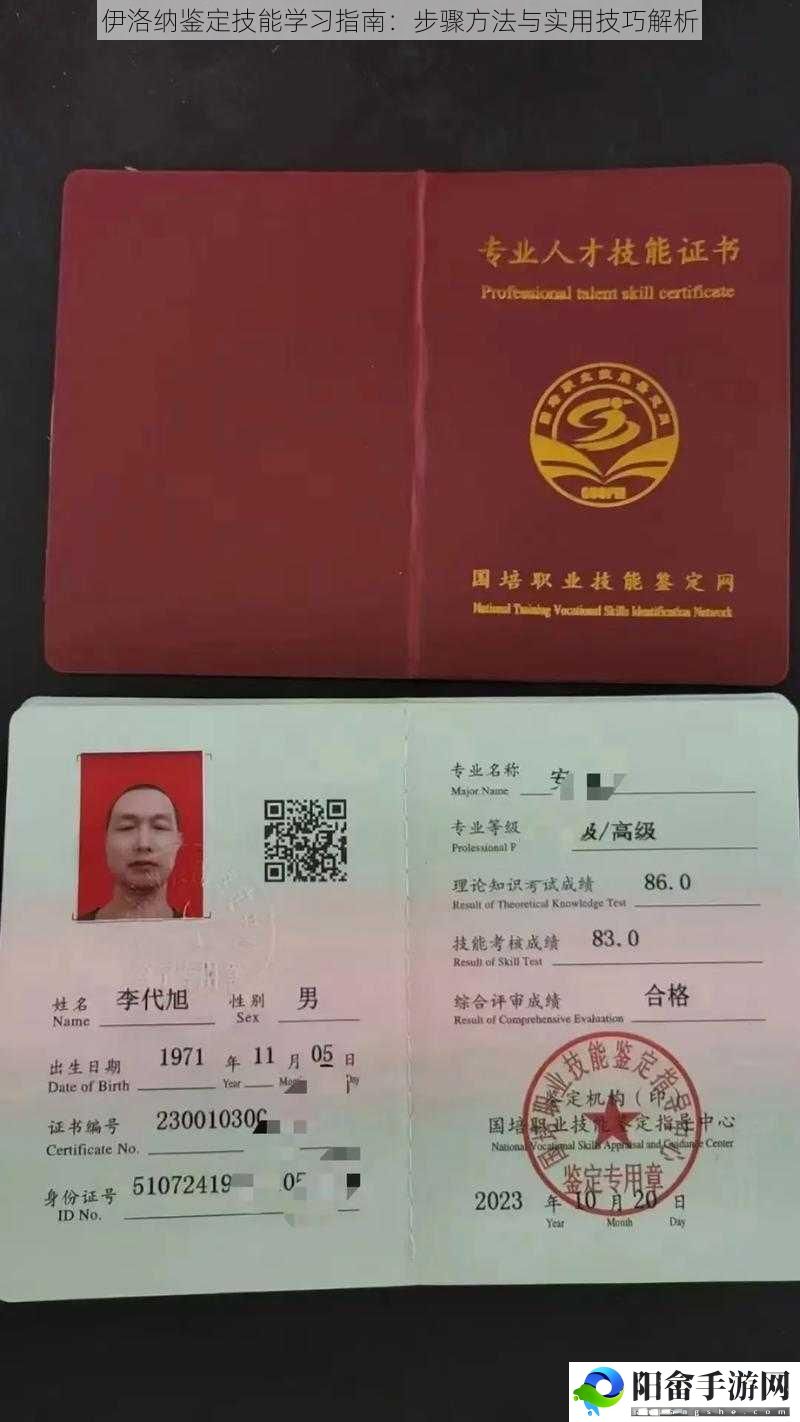 伊洛纳鉴定技能学习指南：步骤方法与实用技巧解析