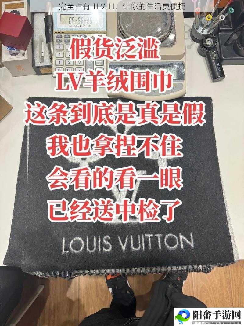 完全占有 1LVLH，让你的生活更便捷