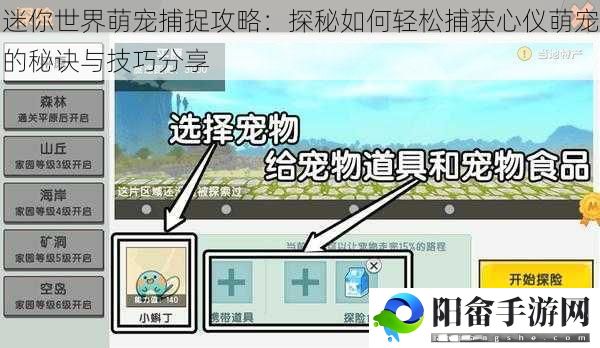 迷你世界萌宠捕捉攻略：探秘如何轻松捕获心仪萌宠的秘诀与技巧分享