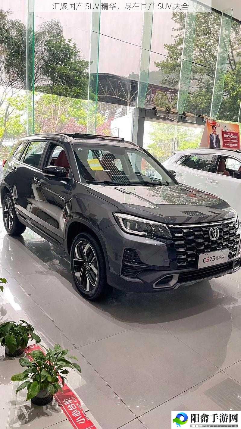 汇聚国产 SUV 精华，尽在国产 SUV 大全