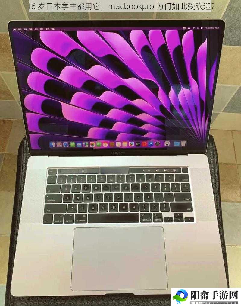 16 岁日本学生都用它，macbookpro 为何如此受欢迎？