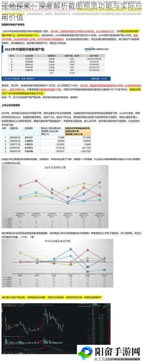 洼地探索：深度解析截图预览功能与实际应用价值