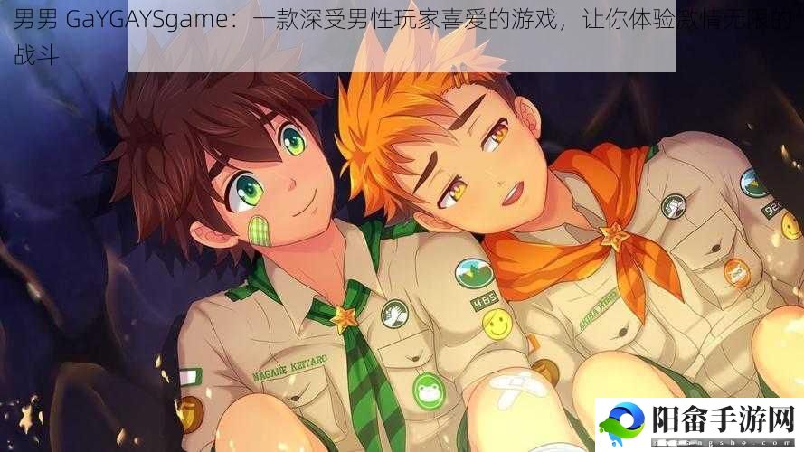 男男 GaYGAYSgame：一款深受男性玩家喜爱的游戏，让你体验激情无限的战斗