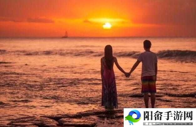 JAVAPARSERHD 夫妻：爱的相伴之旅