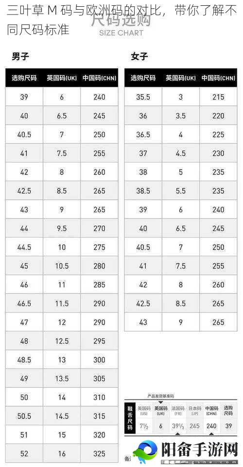三叶草 M 码与欧洲码的对比，带你了解不同尺码标准