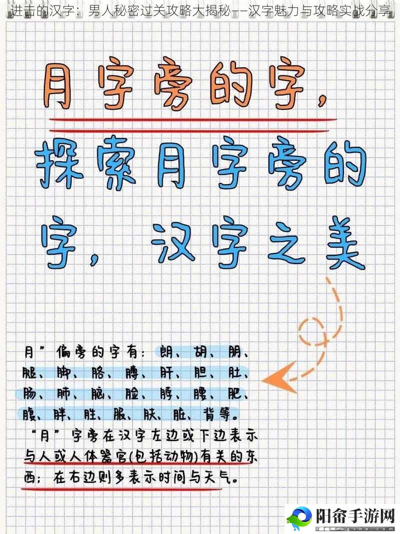 进击的汉字：男人秘密过关攻略大揭秘——汉字魅力与攻略实战分享