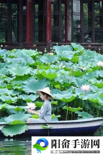 老人船上弄雨荷第十二集：船中赏荷别样情