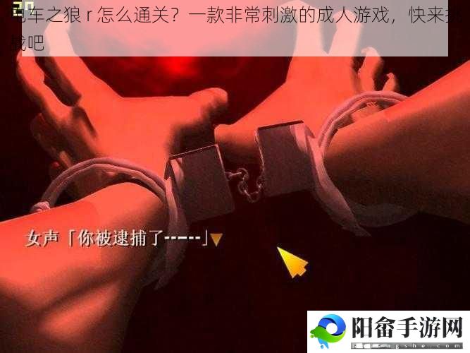 电车之狼 r 怎么通关？一款非常刺激的成人游戏，快来挑战吧