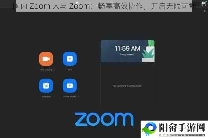 国内 Zoom 人与 Zoom：畅享高效协作，开启无限可能