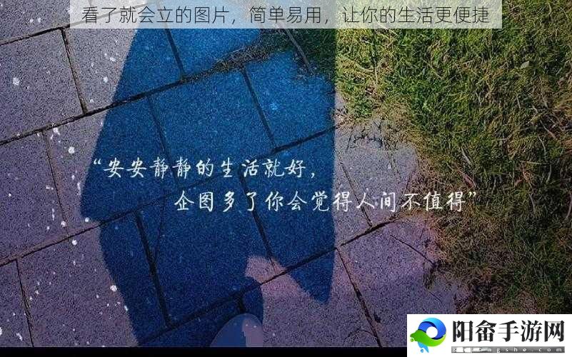 看了就会立的图片，简单易用，让你的生活更便捷