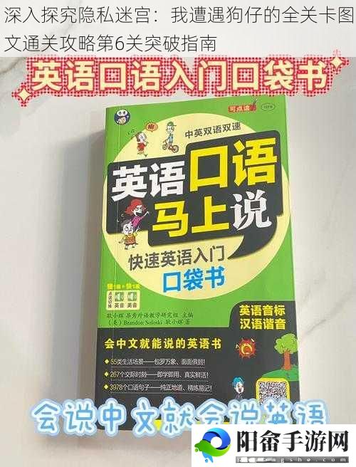 深入探究隐私迷宫：我遭遇狗仔的全关卡图文通关攻略第6关突破指南