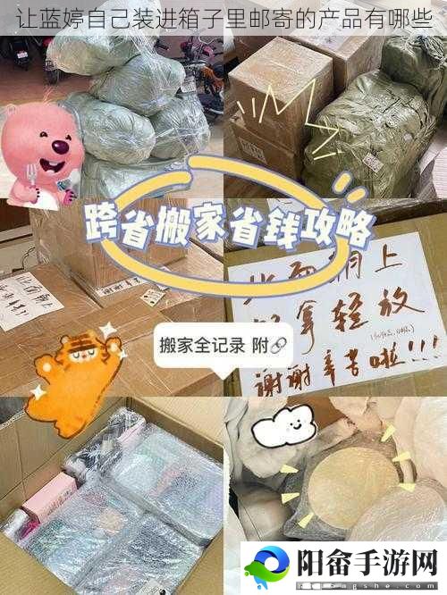 让蓝婷自己装进箱子里邮寄的产品有哪些