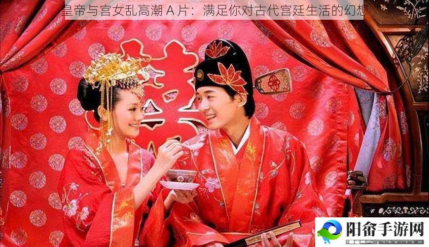 皇帝与宫女乱高潮 A 片：满足你对古代宫廷生活的幻想