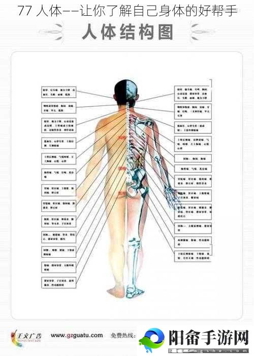 77 人体——让你了解自己身体的好帮手