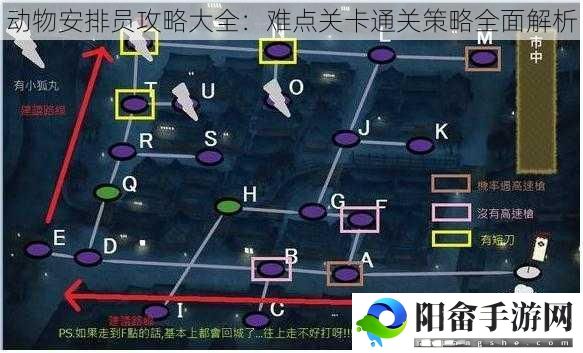 动物安排员攻略大全：难点关卡通关策略全面解析