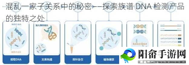 混乱一家子关系中的秘密——探索族谱 DNA 检测产品的独特之处