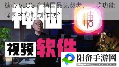 糖心 VLOG 产精国品免费老，一款功能强大的视频制作软件