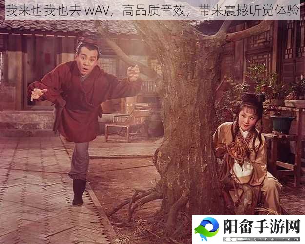 我来也我也去 wAV，高品质音效，带来震撼听觉体验