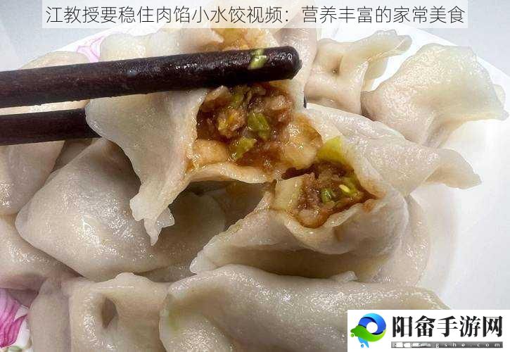 江教授要稳住肉馅小水饺视频：营养丰富的家常美食