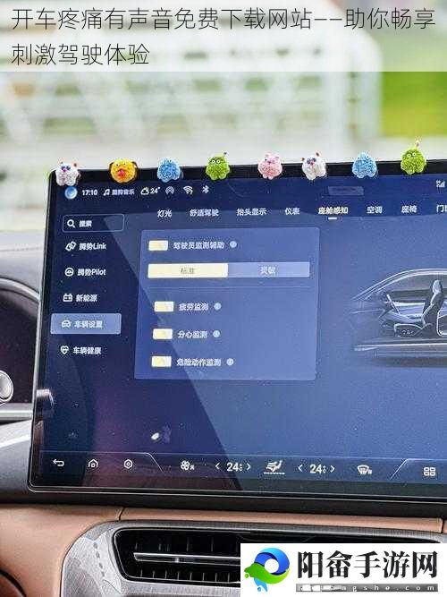 开车疼痛有声音免费下载网站——助你畅享刺激驾驶体验