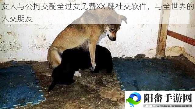 女人与公拘交酡全过女免费XX 牌社交软件，与全世界的人交朋友