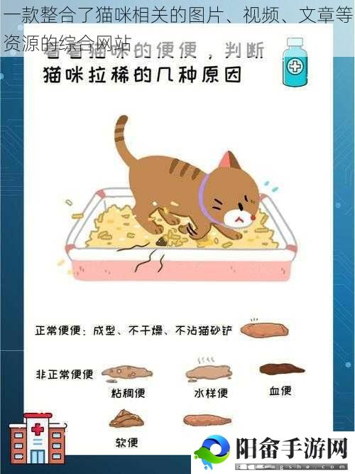 一款整合了猫咪相关的图片、视频、文章等资源的综合网站