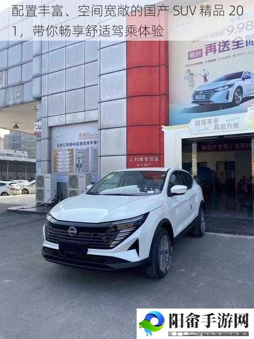 配置丰富、空间宽敞的国产 SUV 精品 201，带你畅享舒适驾乘体验