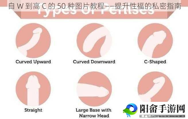 自 W 到高 C 的 50 种图片教程——提升性福的私密指南