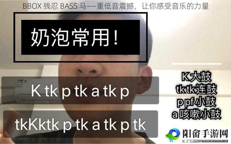 BBOX 残忍 BASS 马——重低音震撼，让你感受音乐的力量